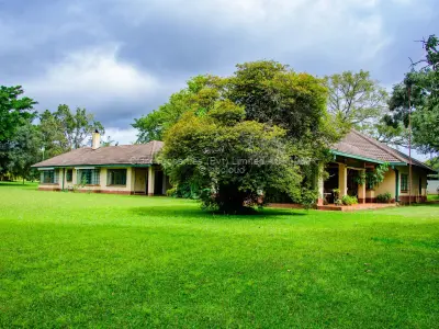 Farm/Plot for Sale in Odzi