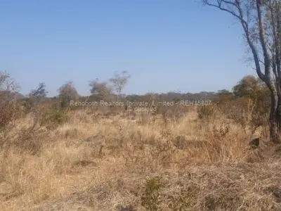 Farm/Plot for Sale in Selous