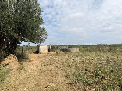 Kensington Land For  Sale