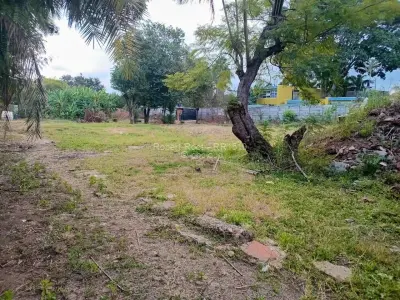 Commercial Stand for Sale in Avondale