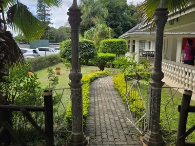 House To Rent In Mt Pleasant