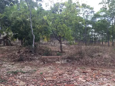 Expansive Land Suitable For Development