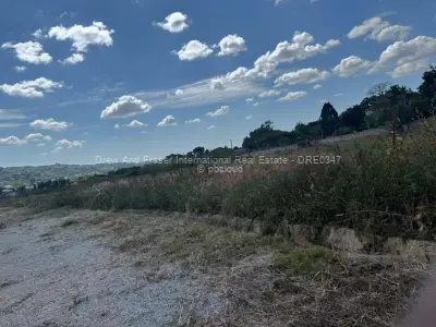 Residential Stand for Sale in Quinnington