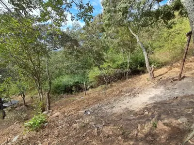 Scenic Views In Glen Lorne