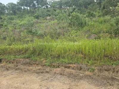Farm/Plot for Sale in Bindura
