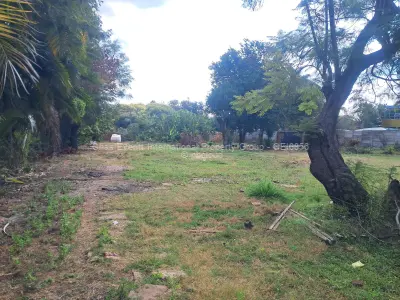 Commercial Stand for Sale in Avondale