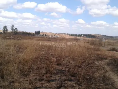 Commercial Stand for Sale in Spitzkop