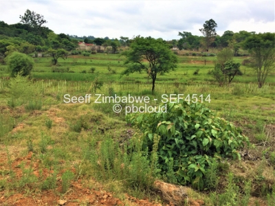 Land for Sale in Borrowdale, Harare Propertybook