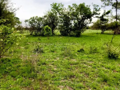 Other Commercial for Sale in Chipinge