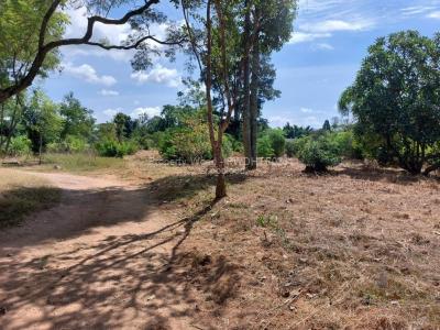 Stand for Sale in Hatfield Stands.co.zw