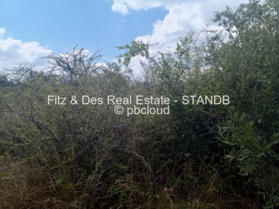 Stand for Sale in KweKwe Stands.co.zw