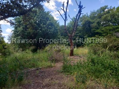 Land for Sale in Borrowdale, Harare Propertybook