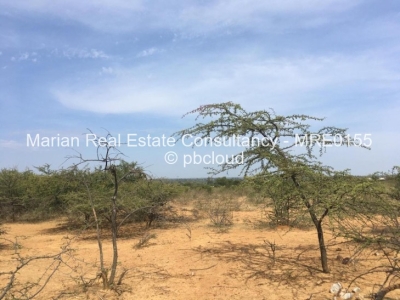 Land for Sale in Gumtree, Bulawayo Propertybook