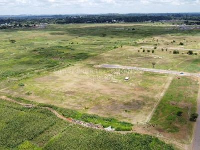 Commercial Stand for Sale