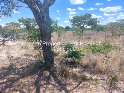 Stands for Sale in Masvingo Stands.co.zw