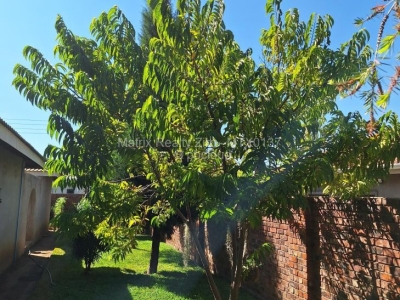 4 Bedroom House for Sale in Fairview, Harare Propertybook