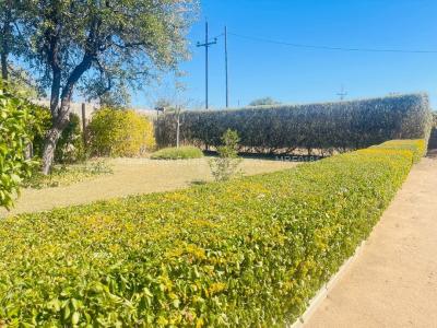 4 Bedroom House for Sale in Sunning Hill, Bulawayo Propertybook