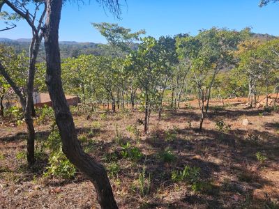 Land for Sale in Carrick Creagh Estate, Harare Propertybook