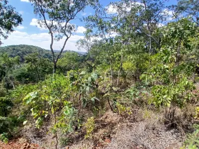 Residential Stand for Sale in Gletwin Park