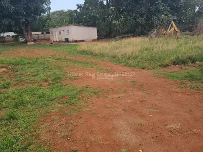 Stand for Sale in Quinnington