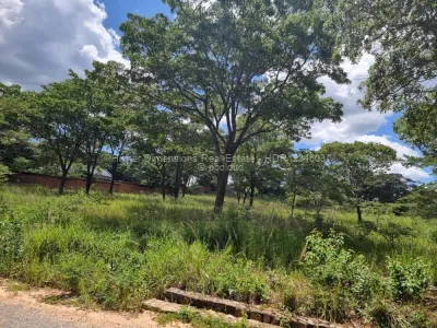 Stand for Sale in Helensvale