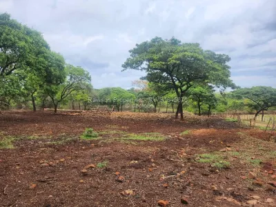 Farm for Sale in Glen Forest