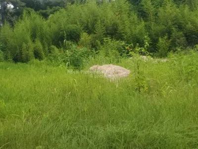Land for Sale in Quinnington