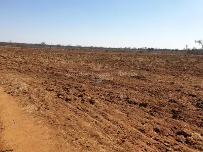 Farm/Plot for Sale in Kadoma