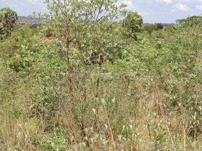 Stand for Sale in Borrowdale West