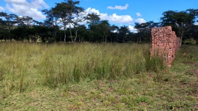 Stand for Sale in Glen Lorne