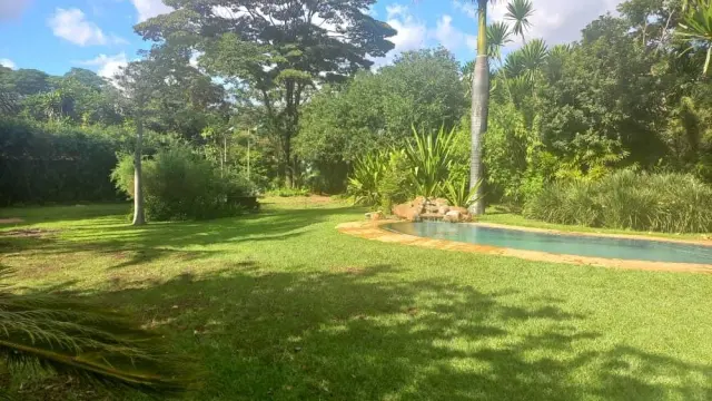 Commercial Property to Rent in Alexandra Park