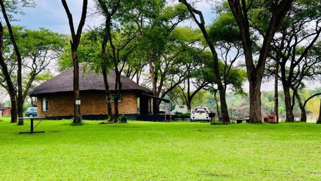 Stand for Sale in Hatfield