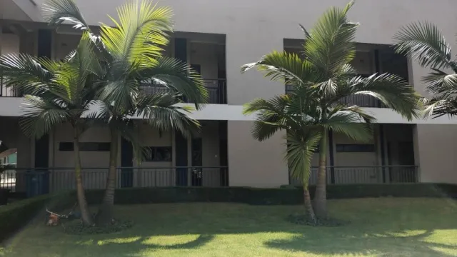 Flat/Apartment to Rent