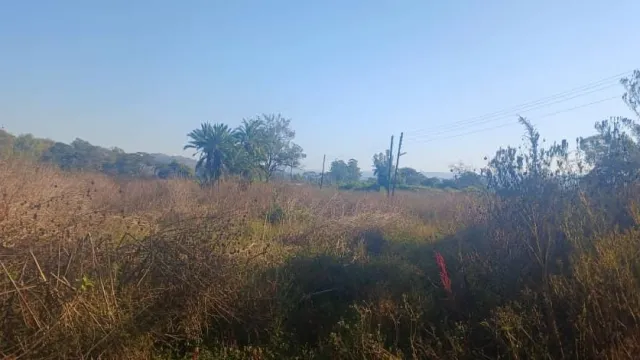 Farm for Sale