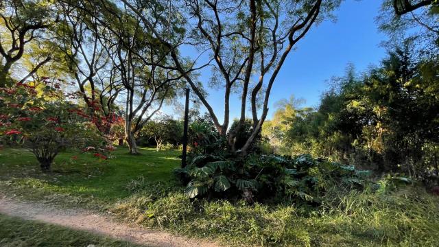 Stand for Sale in Borrowdale Brooke