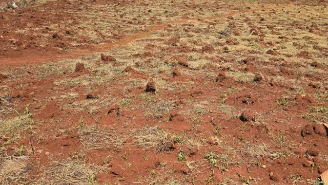 Residential Stand for Sale