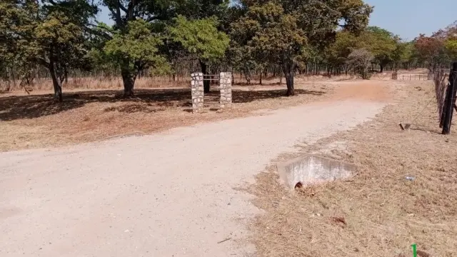 Farm to Rent