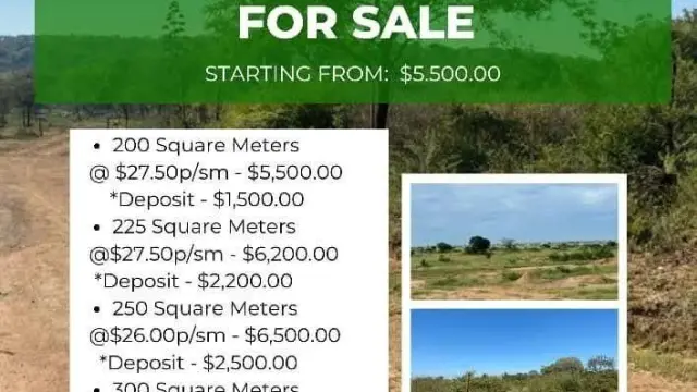 Stand for Sale