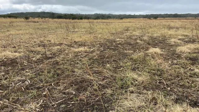 Farm for Sale