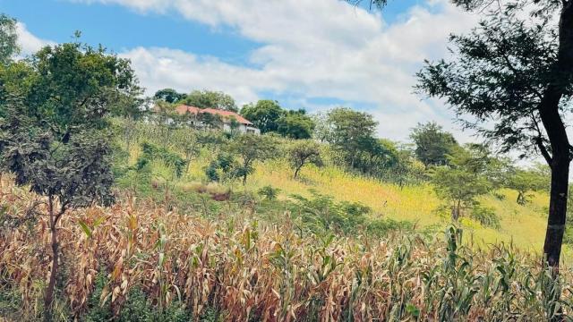 Stand for Sale in Mazowe