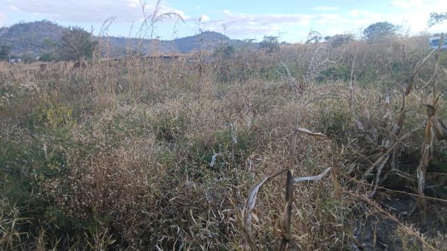 Stand for Sale in Bindura