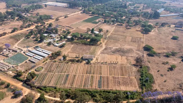 Farm for Sale