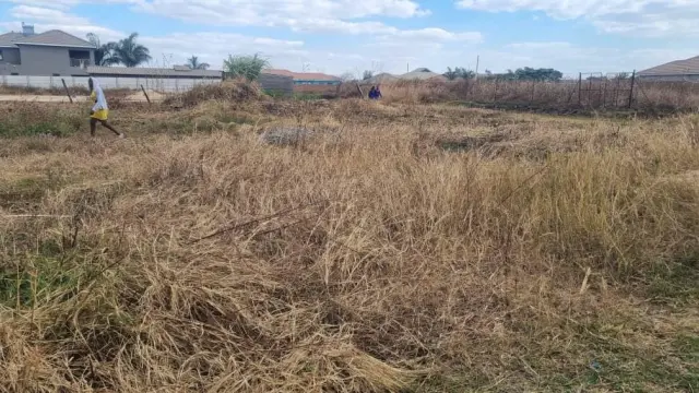 Land for Sale