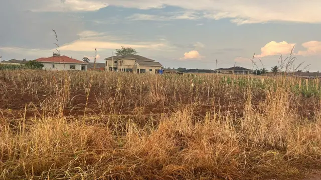 Land for Sale