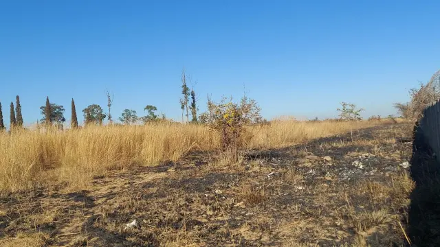 Land for Sale inSpitzkop