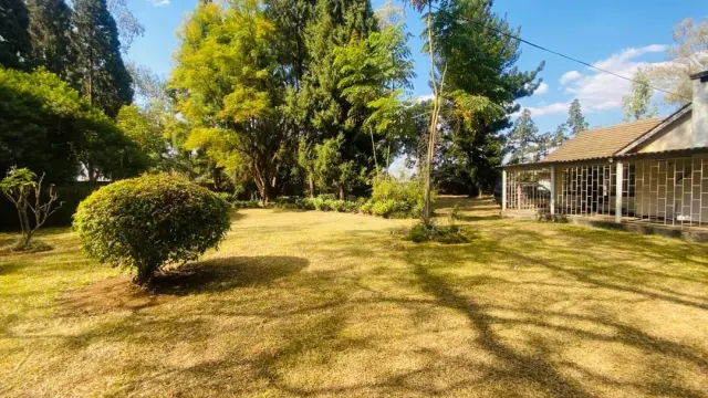 Commercial Property to Rent