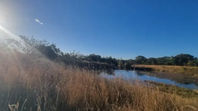Farm for Sale