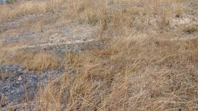 Land for Sale inChinhoyi