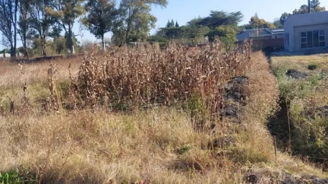 Land for Sale