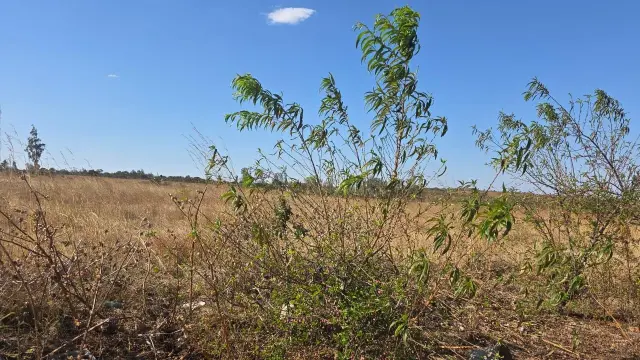 Commercial Stand for Sale inGumtree